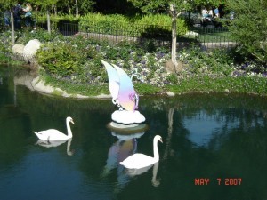 Swans in the Moat 2007
