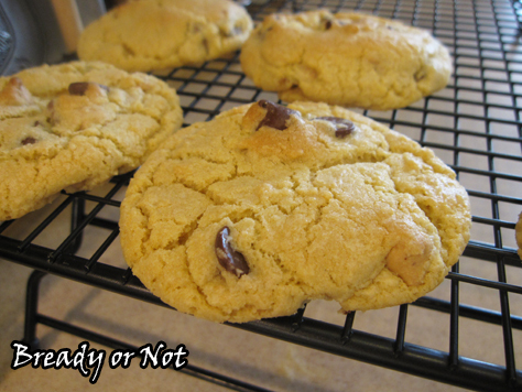 Custard Choc Chip Cookies
