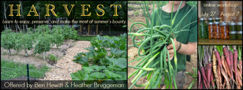 harvest graphic - landscape