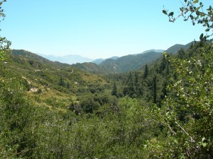 More of beautiful Angeles National Forest
