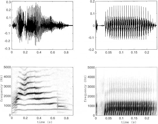 Figure. Two vocalizations illustrate similarities and differences in periodicity (top row) and harmonic structure (bottom row). In the left-hand column, a kitten meow is presented. The right-hand column illustrates the waveform of a /pa/ phoneme with a 30 ms voice-onset time. From Eggermont (2001).