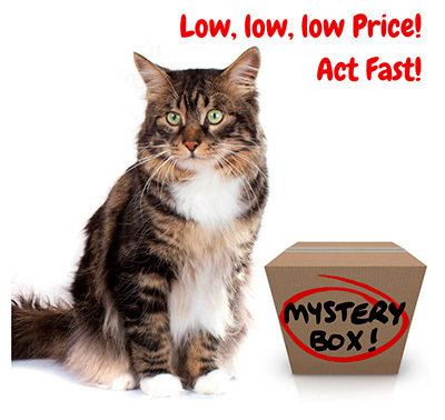 Mystery Box for Cats