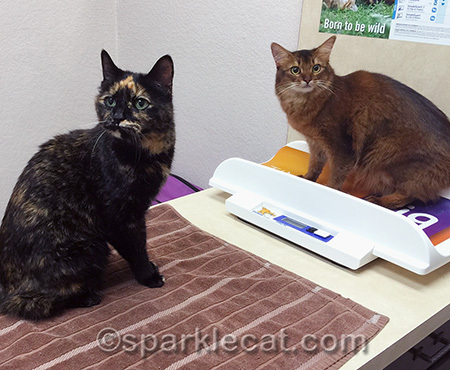 Binga is also unhappy because she was told she needed a dental
