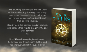 Dark Skies short blurb