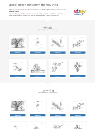 Auction page on Sylva Foundation website