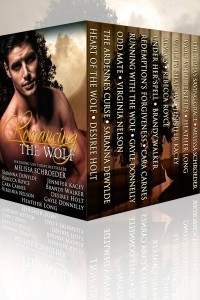 Romancing the Wolf 3D