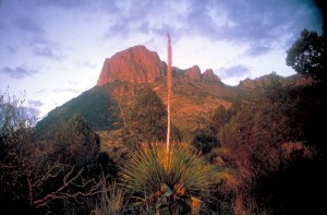 Big Bend National Park, Texas