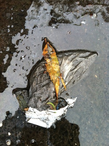 Flying Fishes