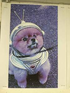 Episode 1: Space Dog