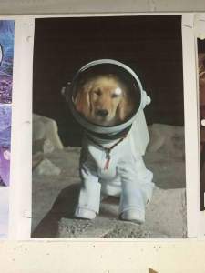Episode 3: Space suit dog.