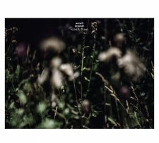 rcd2169-anneli-drecker-rocks-straws-cd-lp_19_2015-03-13-16-26-02