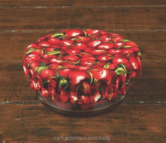 Sew food storage bags Nancy Zieman