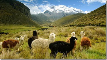 ecuador-andes