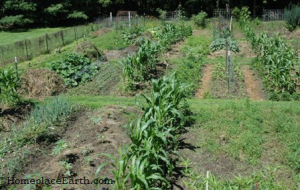 Garden Paths June 2015--BLOG