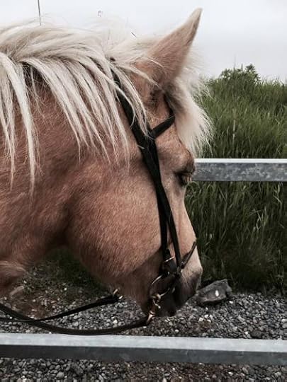 10403088_10155679240540627_4614250863046927744_n