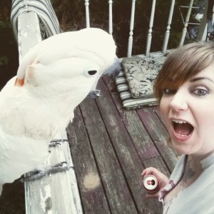 11377461_820884604633259_1450086814_n