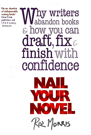 Nail Your Novel