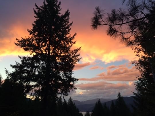 New Cover, New Price - Hustled To The Altar