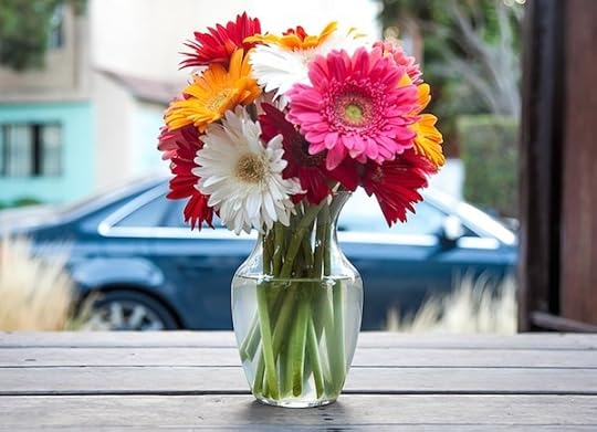 Floral fireworks!