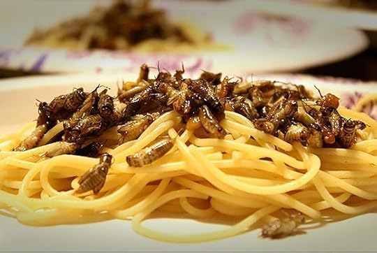 Cricket mealworm scampi. Yum. (Photo: Camren Brantley-Rios)