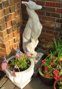 liberty dog