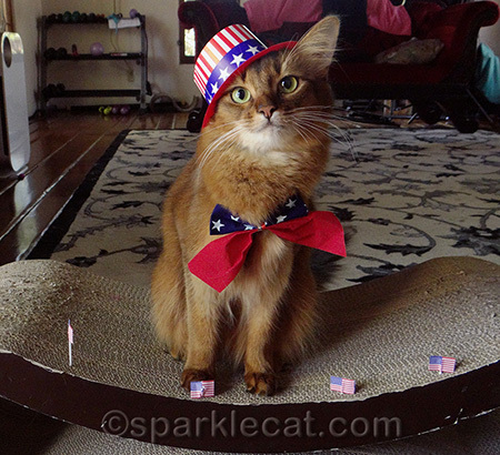To avoid fireworks, Binga did not have to wear the hat