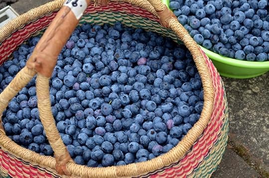 blueberries-basket