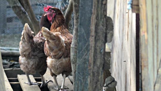 photo 11 day 18 edge and 19 double 045 tu