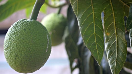 photo 101 day 19 double & rotation 028 tu