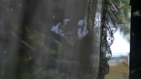 photo 101 days 15 & 16 treasure and glass squared 011 tu