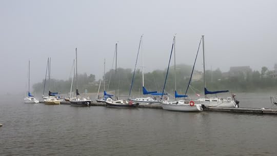 A Cool and Foggy June 21st