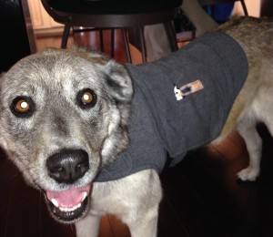 ???????????????????????????