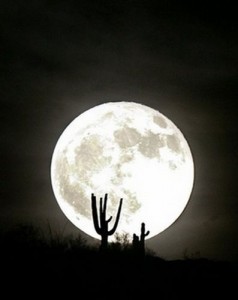 desert moon