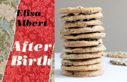 After-Birth-Elisa-Albert