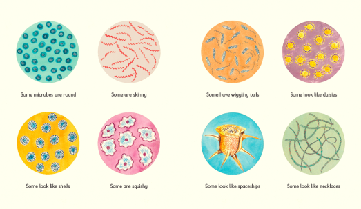 tiny-the-invisible-world-of-microbes-4