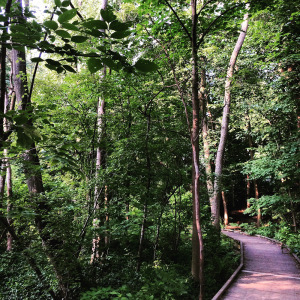 Park 3 1000