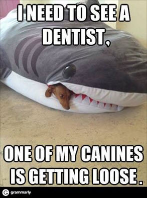 sharkweek