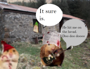 zmedobubbybb787878790909090909