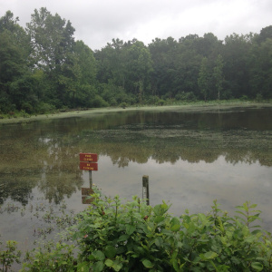 One of the ponds in the TNT Area of West Virginia