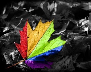 -downloadfiles-wallpapers-1280_1024-colors_make_a_difference_wallpaper_miscellaneous_other_wallpaper_1280_1024_3295 (1)