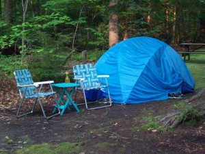 Our campsite. We moved the next day to a beach site and were happy we did.