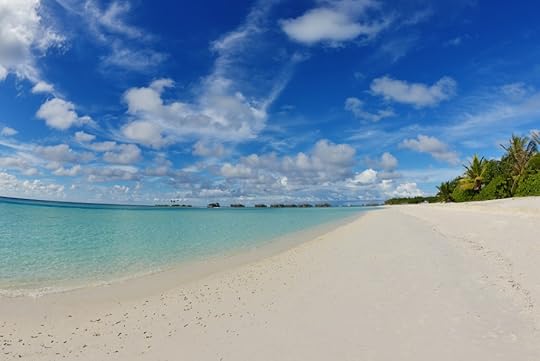 tropical beach nature landscape with white sand at summer
