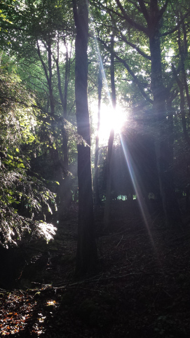 wpid-20150702_190802.jpg