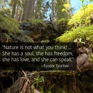 11403428_10153456115932094_7224178896614326474_n