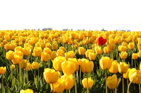 stand-out