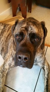 11666201_658647367568093_6243605131118341001_n