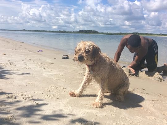 Bella the dog wishes she'd brought her favorite book while visiting the beach!