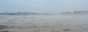 20150630_145915-1