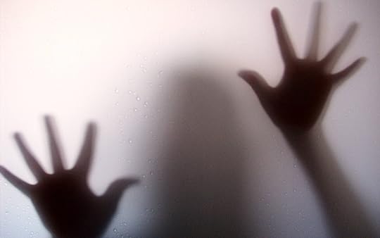 The Window - A wicked one night stand by Daire St. Denis