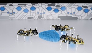 festo-pressebilde_bionicants